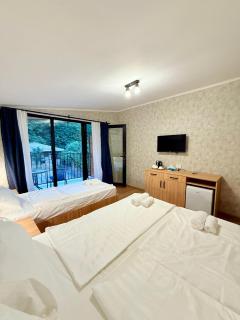 Four Rooms - Lagodekhi - 3