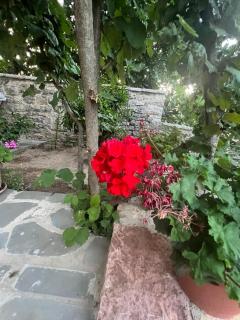 Arpet guesthouse - Gjirokastër - 7