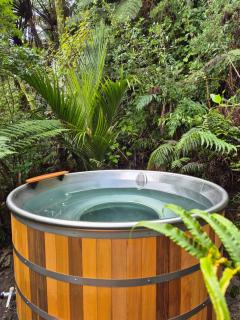 Treescapes - Rainforest Hot Tub 2km from Punakaiki - Punakaiki - 8