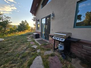 Moose Manor - Golden - 9