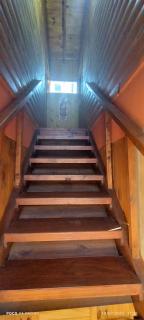 Flores de Lapacho - 3