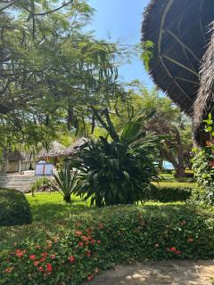 MARIA, the Star on the sea beach cottages - cottage MAMA - Malindi - 7
