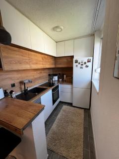 Apartman Mima Otes Ilidža - Sarajevo - 9