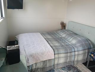 crash pad but homely - Hamilton - 5