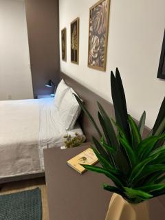 Equilíbrio Pefeito - Melhor Localização! - 4