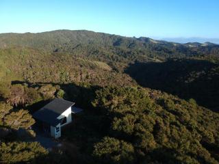 Waiotoi - The Bush Hideaway - Matapouri - 9