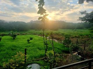 Darshani Lodge - Sigiriya - 3