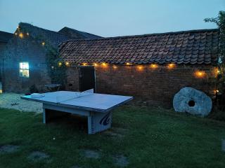 Dome One with Hot Tub, Lincoln, Projector, Firepit - Lincoln - 5