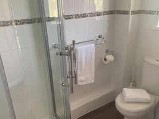 Primrose Apartment - Uk49291 - Woolfardisworthy - 5