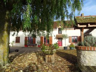 Charmante Ferme Restaurée avec Jardin Clos, Proche des Châteaux, Idéale Familles et Nature - FR-1-491-365 - Mont-près-Chambord - 0