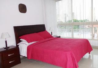 For rent furnished apartment in San Francisco Bay - 0