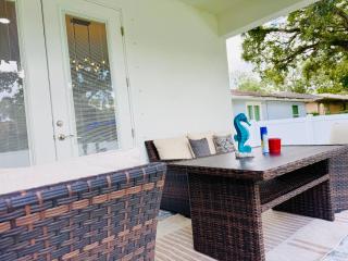 New Modern 4BR house by Busch Garden & USF - Tampa - 2