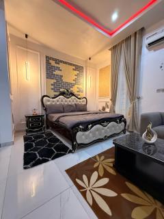 Beautifully furnished 4 Bedroom Duplex - Lekki - 0