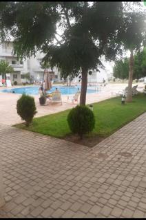 Palm-beach - 4
