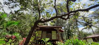NV Ecofarm - 8