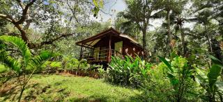 NV Ecofarm - Dabal - 1