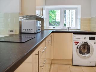 Mariah - Uk47136 - Llanfynydd - 5
