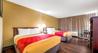 Econo Lodge Corinth - Corinth - 3
