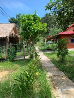 Maloop Camping - Isola di Koh Rong - 4