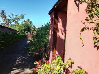 exotic menjangan - 7