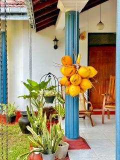 Dew Ceylon Villa - Negombo - 9