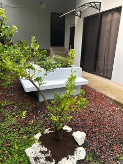 Apartament near SJO Airport - 8