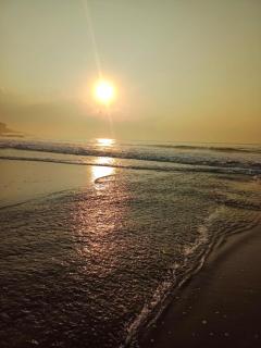 Coconut Beach - Talalla South - 3