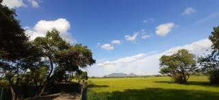 Gimanhala Visitor Bungalow - Dambulla - 1