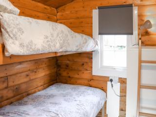 Babbling Brook Lodge - Trawsfynydd - 4
