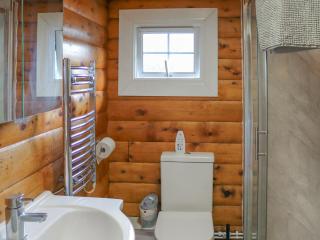 Babbling Brook Lodge - Trawsfynydd - 3
