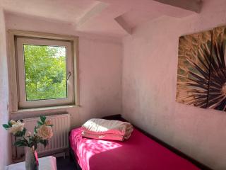 Brakel Ferienwohnung - Brakel - 3