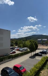 Ferienwohungen Akwant - Baden-Baden - 9