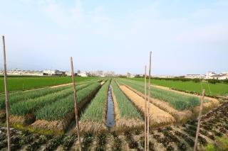 Richland Gardens - 4