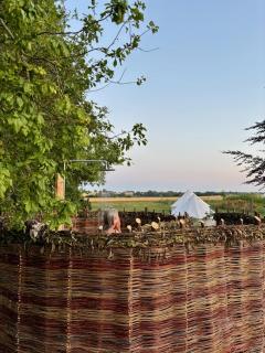 Helles Have Glamping - Stege - 6