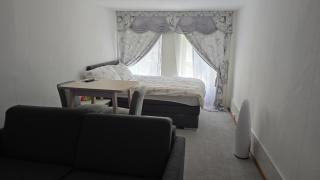 Real Swiss Classic Apartment & Up to 7 Seats Cars Rental Option - Bern - 0