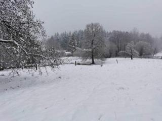 Test Property Beautiful holiday home near Vielsalm with rural view - Vielsalm - 9