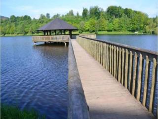 Test Property Beautiful holiday home near Vielsalm with rural view - Vielsalm - 7