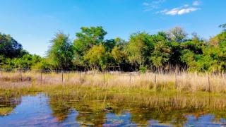 Kashete Campsite - Okavango Eastern Panhandle - 4