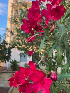Bivio 281 suite&rooms - Carini - 4