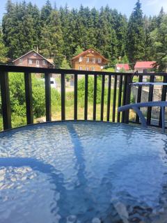 Eco Village Apartments 4 with terrace - Bakuriani - 8