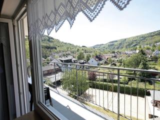 Apartment with Balcony near the Luxembourg's Border - Bollendorf - 9