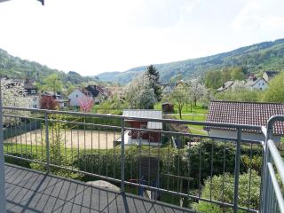 Apartment with Balcony near the Luxembourg's Border - Bollendorf - 8