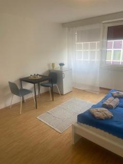 Downtown Flats, Lake Lucerne - Lucerna - 4