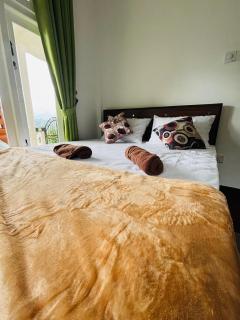 AnS Villas - Kandy - 1
