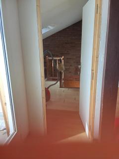 Chambre dans une appartement - Mulhouse - 8