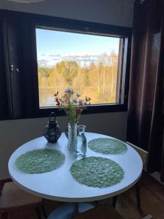 Home by the river in Nakkila, 15 mins from Pori - 8