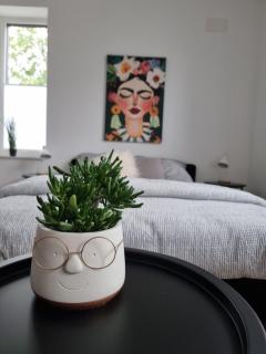 1-Zimmer-Loft Casa Frida - Walldürn - 6