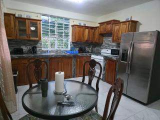 Island Gemz Apartment - Roseau - 6