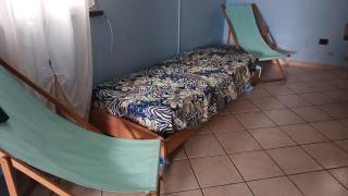 Plumbago - 1
