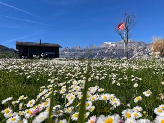 Panoramawohnung in der Natur - Flums - 2